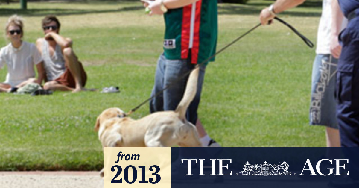 Holiday violence warning as dogs prepare for Big Day Out